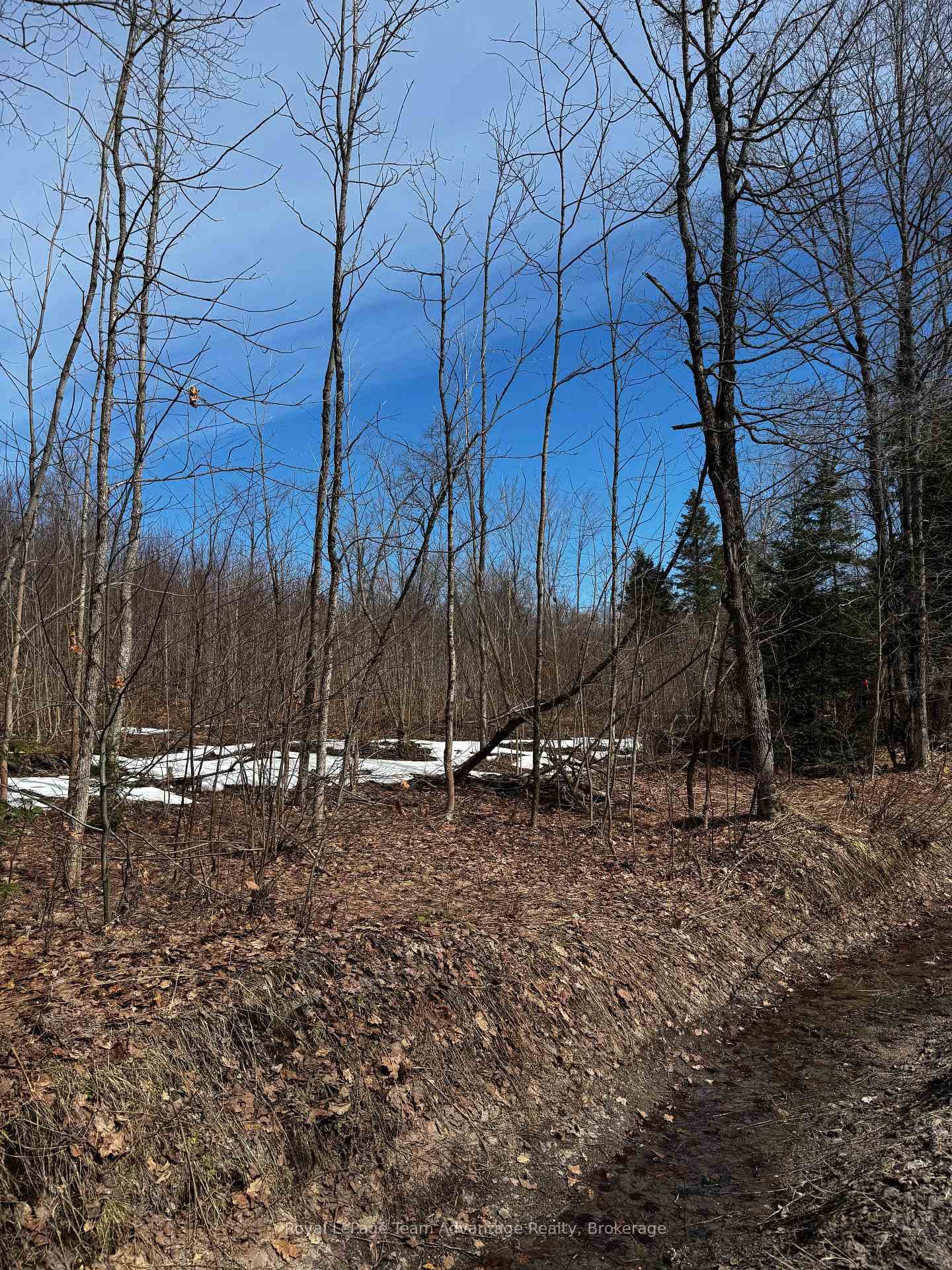 Lot 2 Lorimer Lake Road photo 9