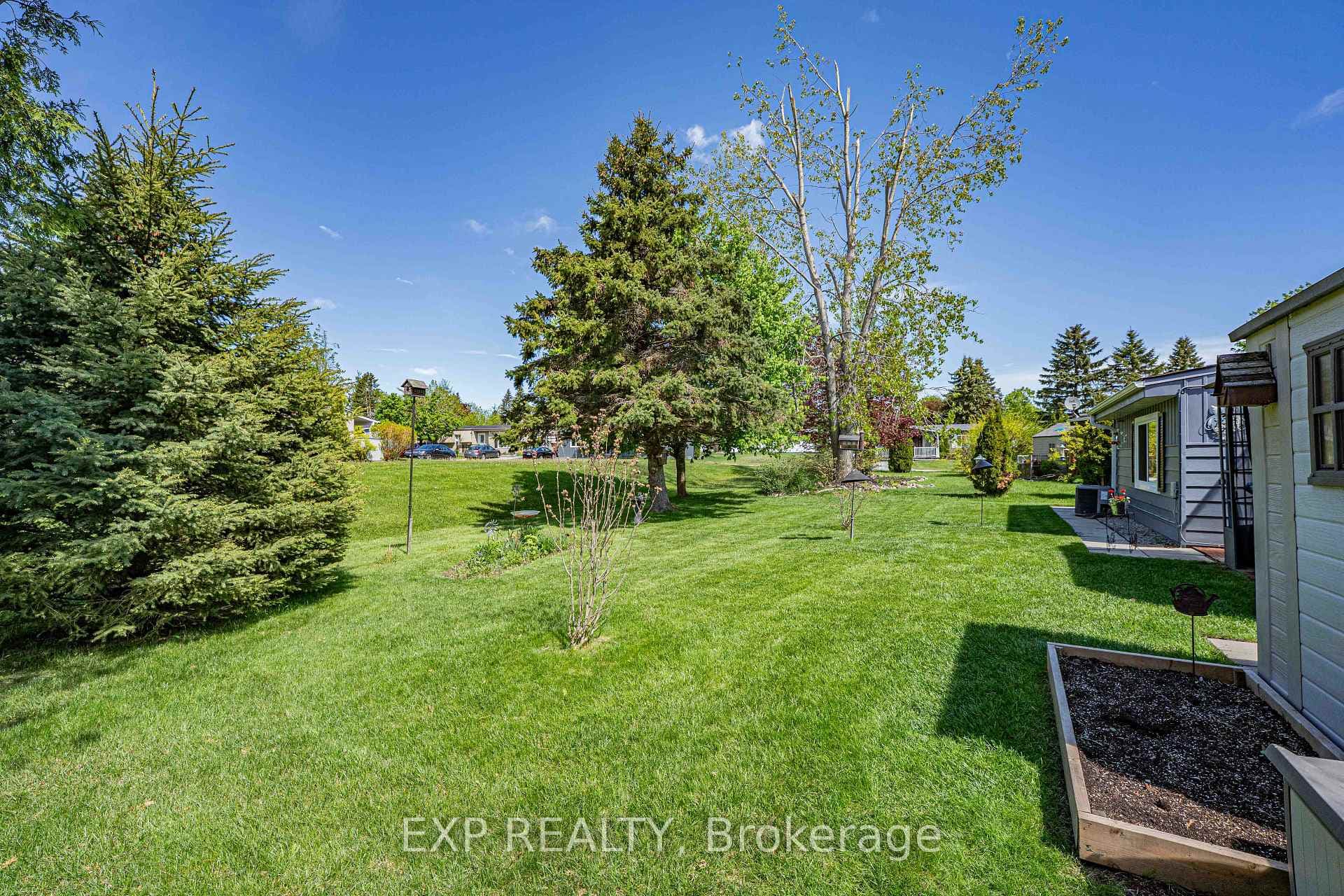 View of the backyard