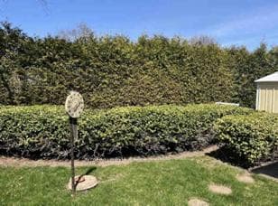 731 Breezy Drive photo 36