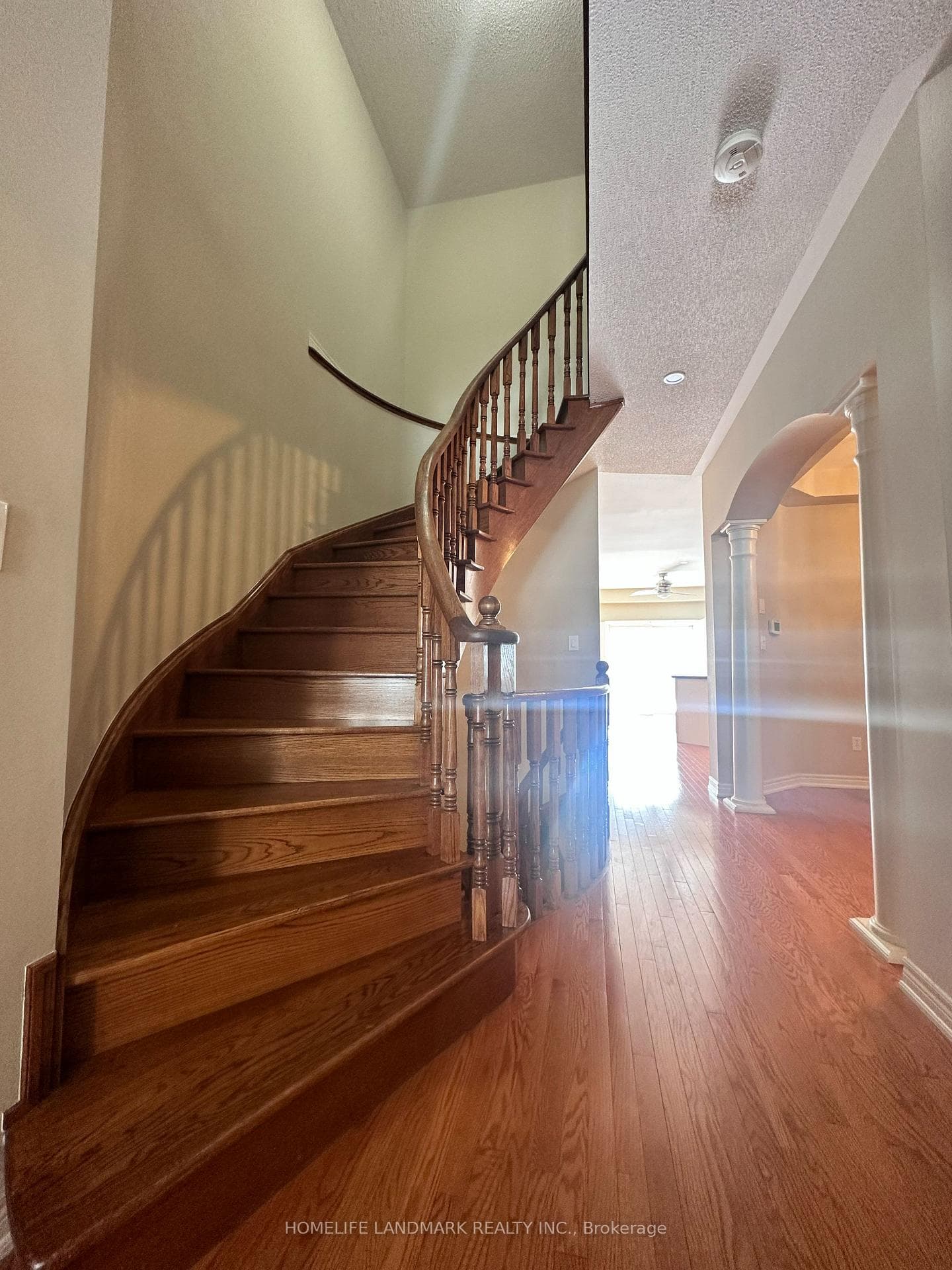 1244 Agram Drive photo 4
