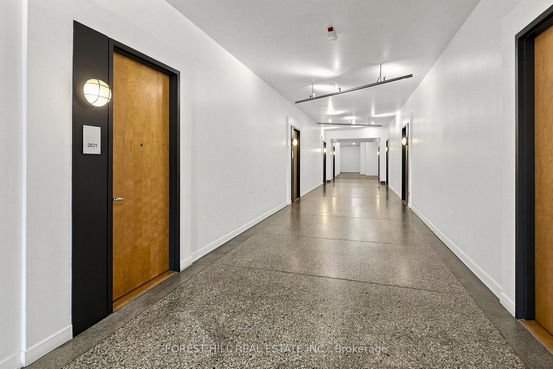 21 Nassau Street Unit 301 photo 9