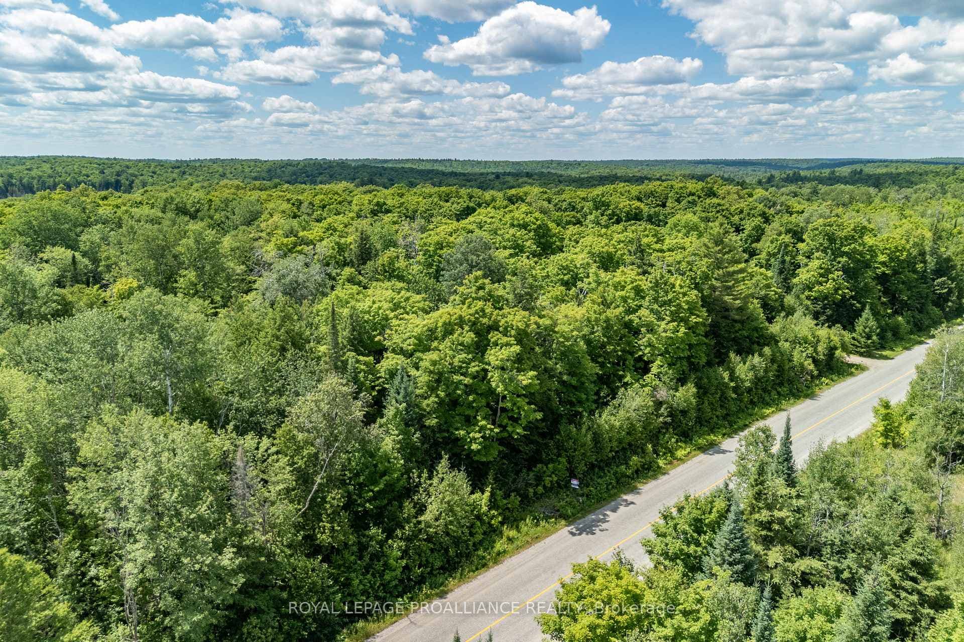 0 Buckshot Lake Road photo 20
