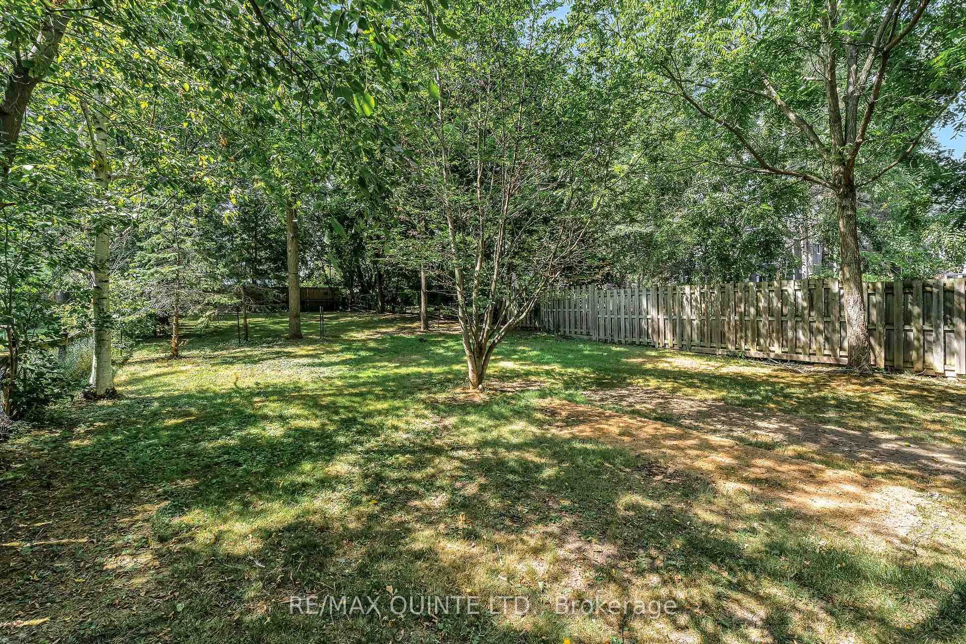 Rear Yard