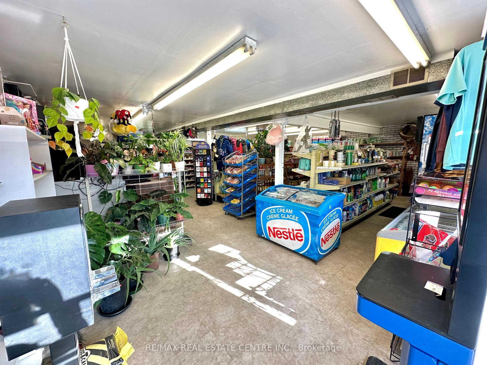 257 Murray Street photo 1