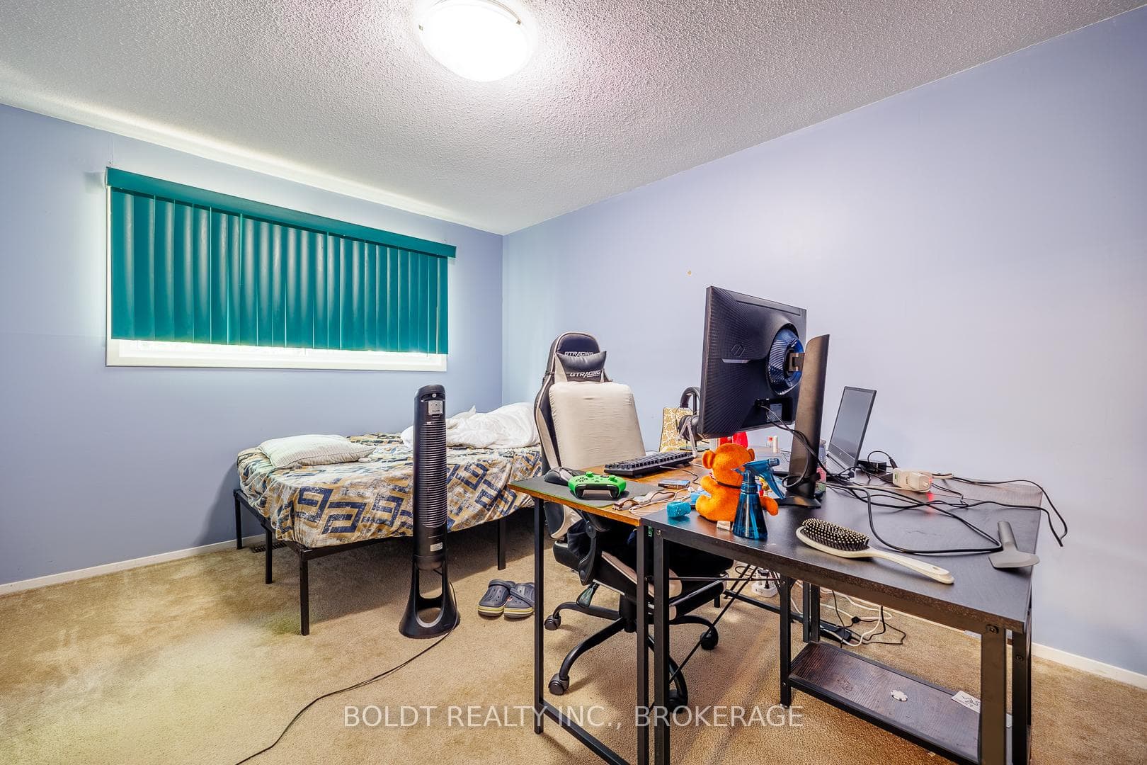 29 TUPPER Drive photo 14