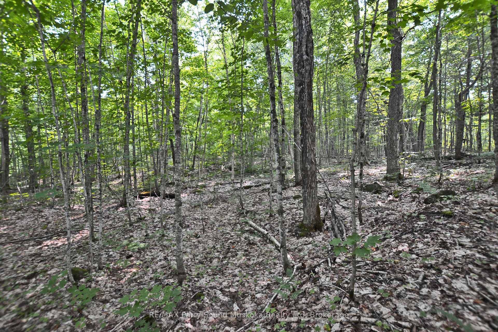 Prime 5 acre building lot!