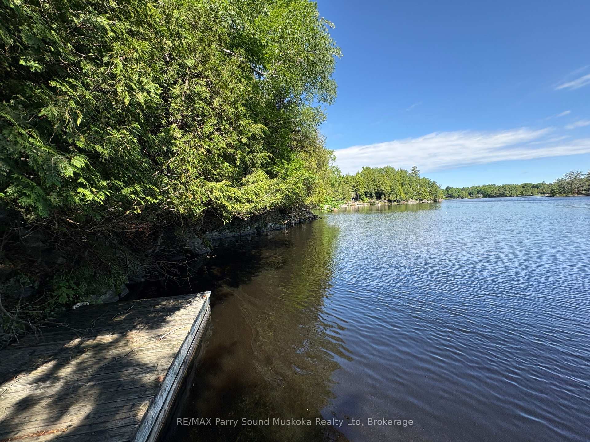 85 Sunnyshore Park Drive photo 5