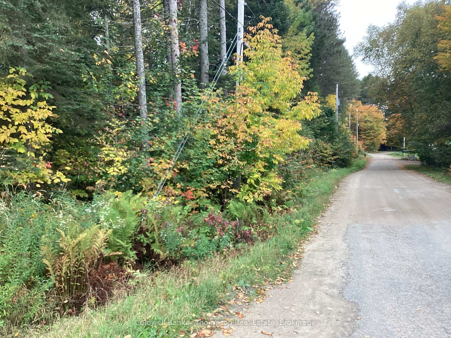 Year Road road