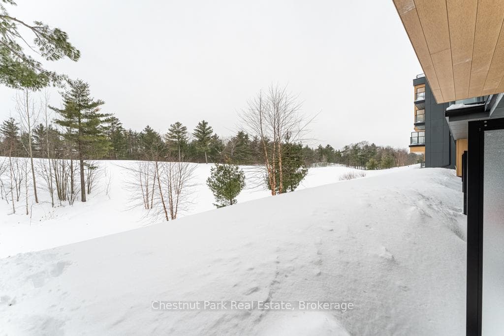 120 Carrick Trail Unit 113 photo 22