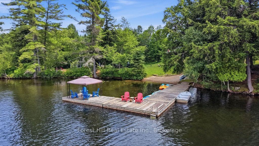 Main Dock & Beach Area