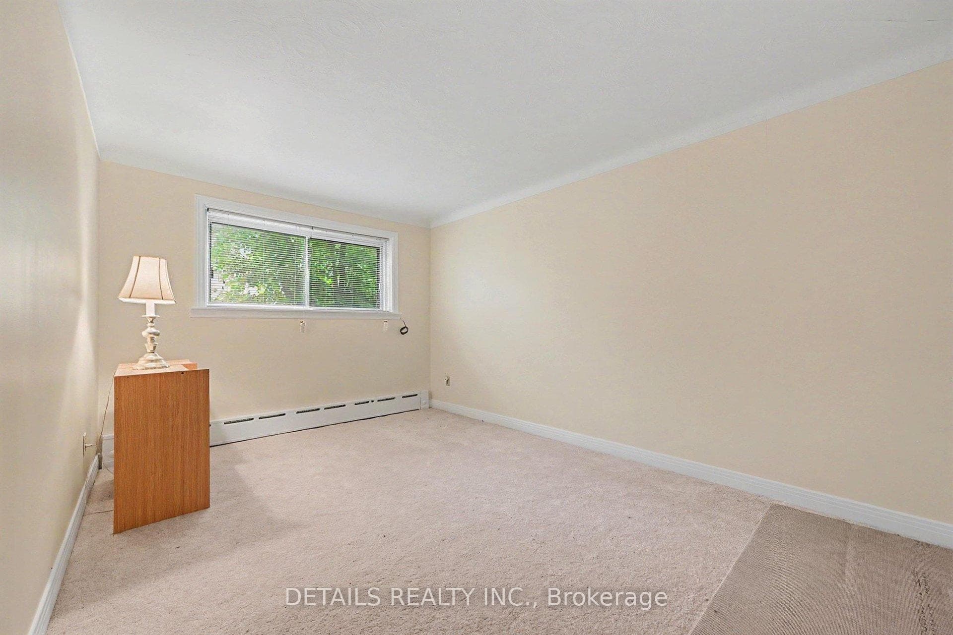 294 Donald Street photo 32