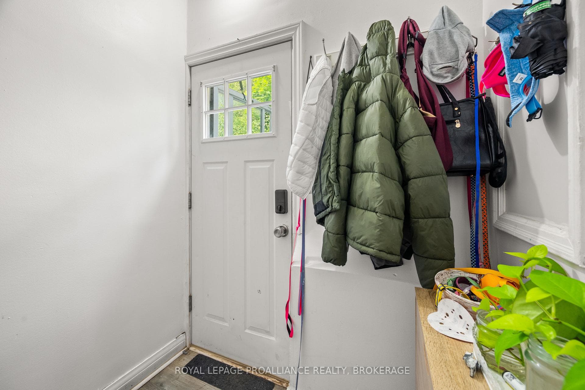 260 Elmwood Street photo 29