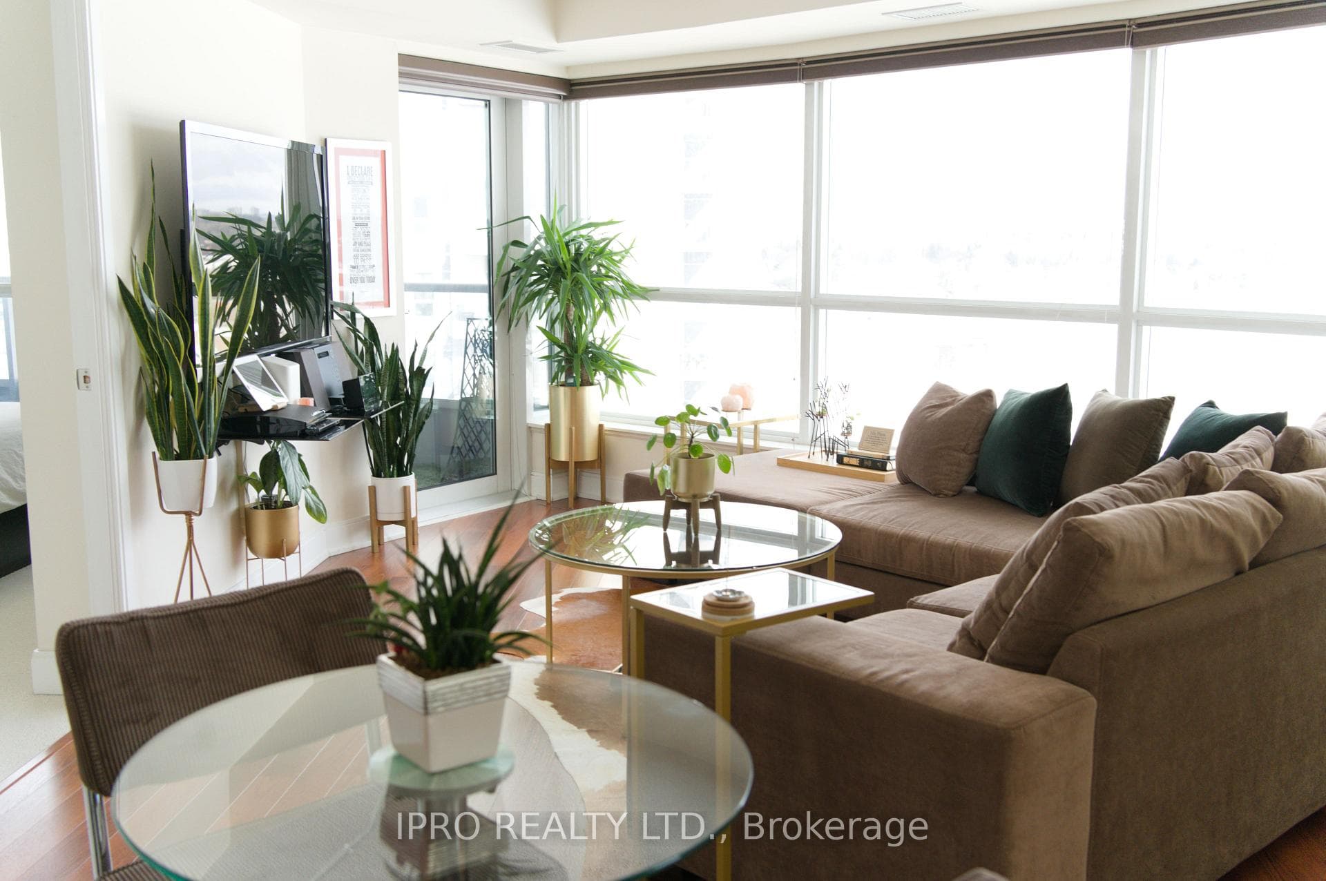 Spacious and Bright Living Room