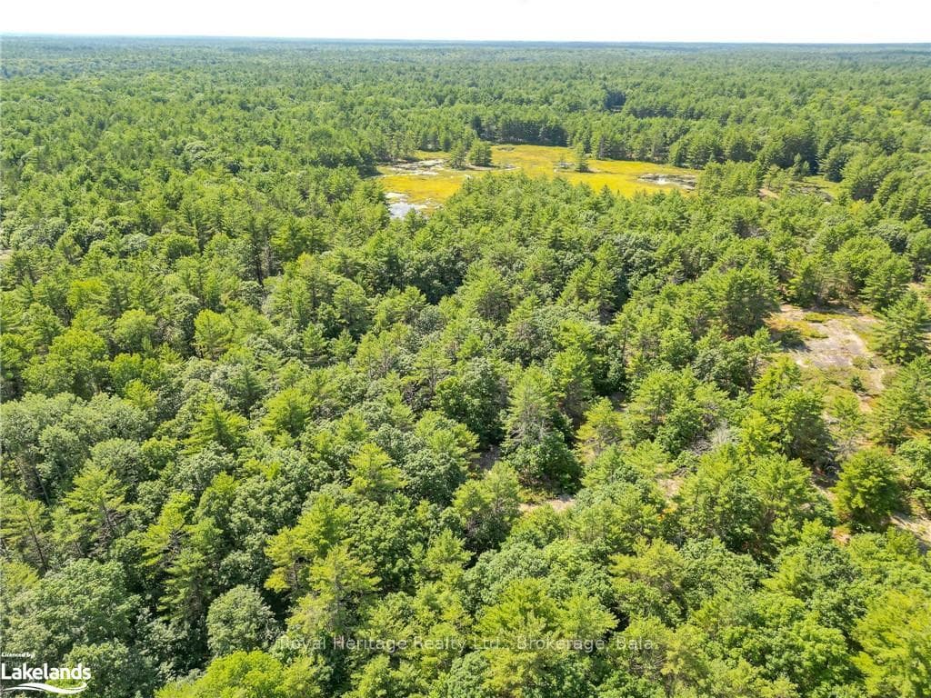 1186 SAM COOK Road photo 24