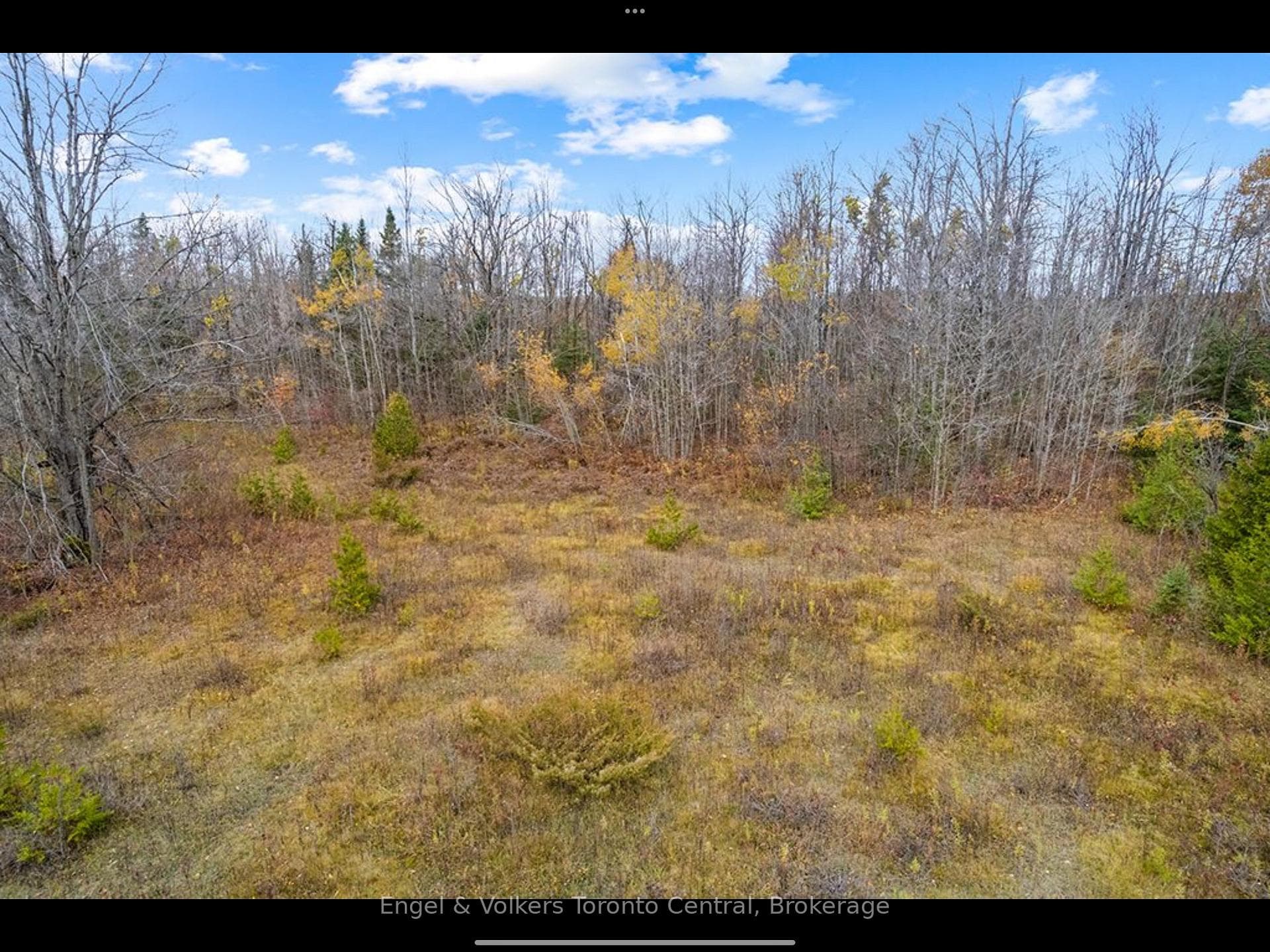 429560 8th B Concession photo 4