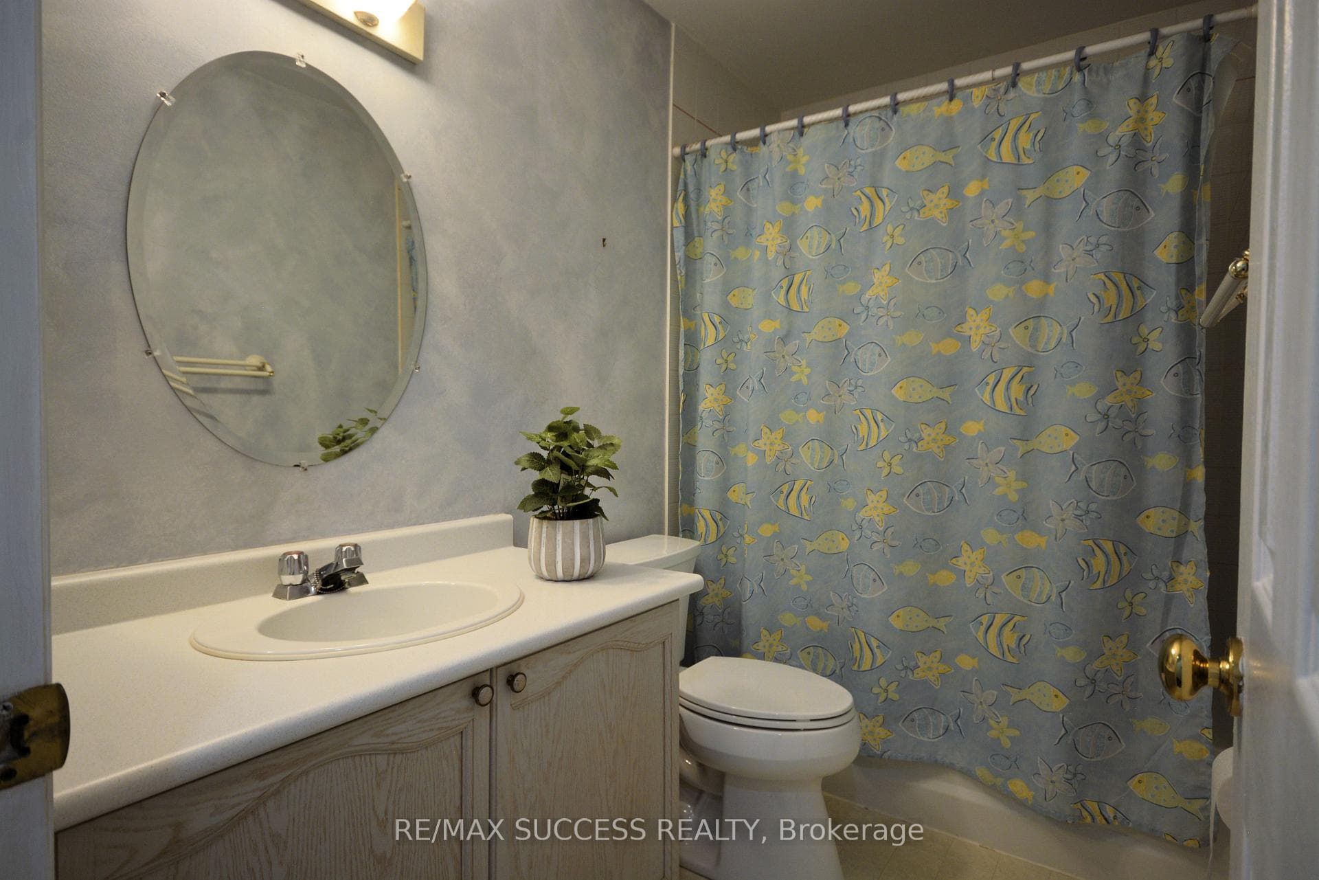 2462 Stefi Trail photo 24