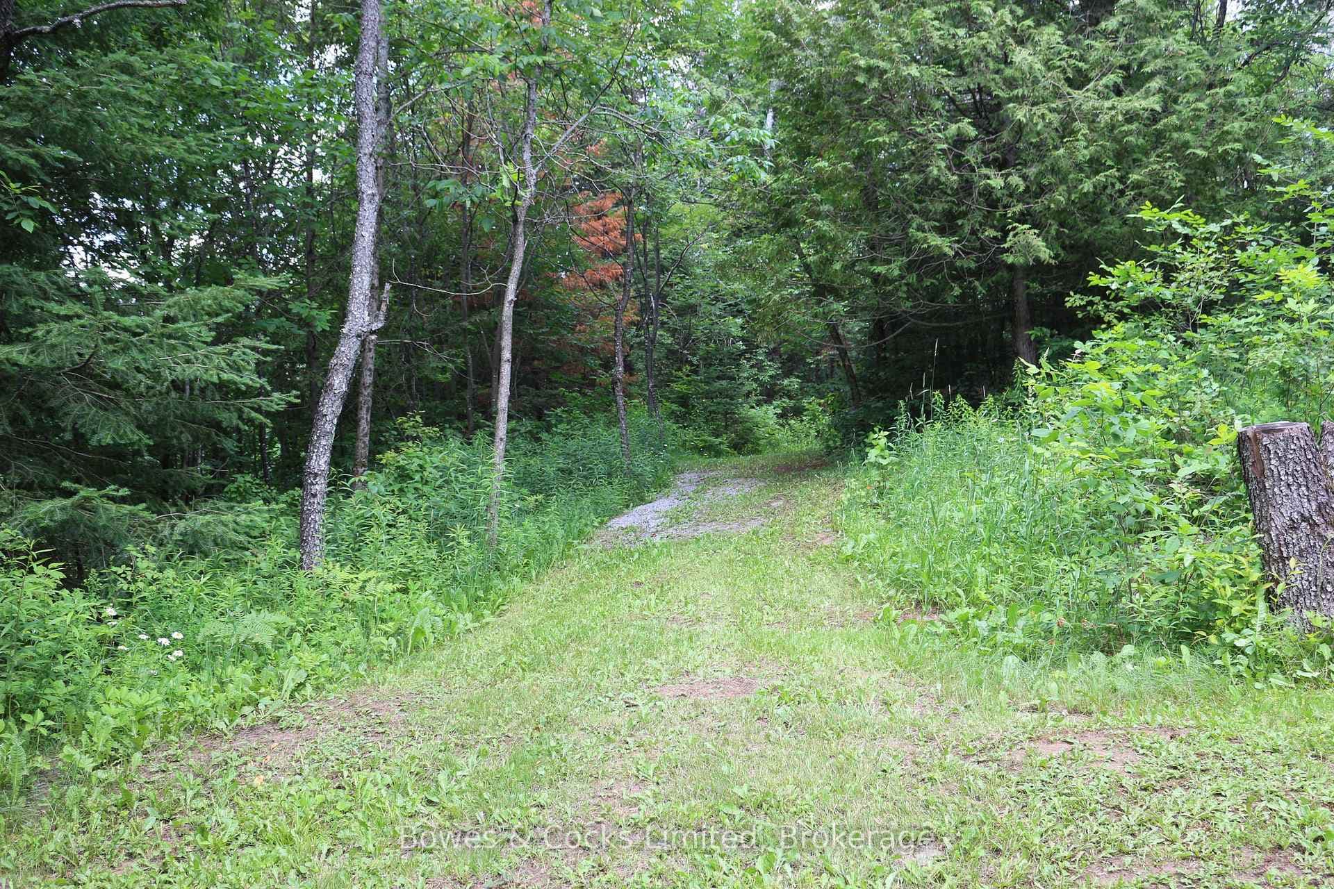 3994 County Road 620 N/A photo 28