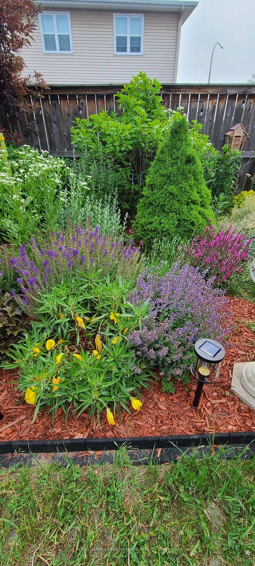Garden images from prior years provided by seller.