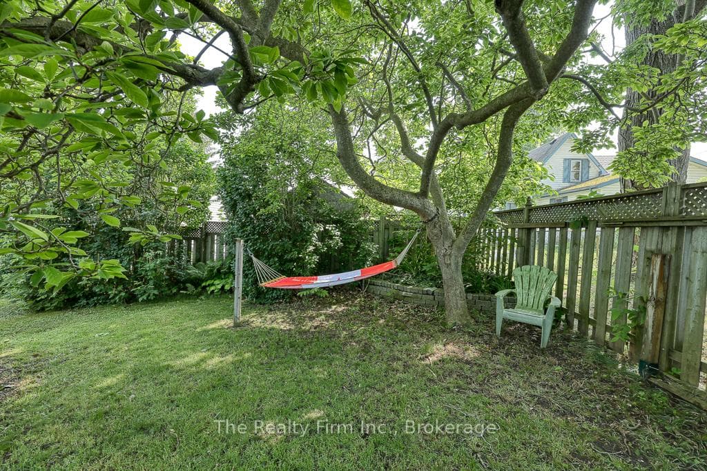 Beautiful magnolia tree in backyard
