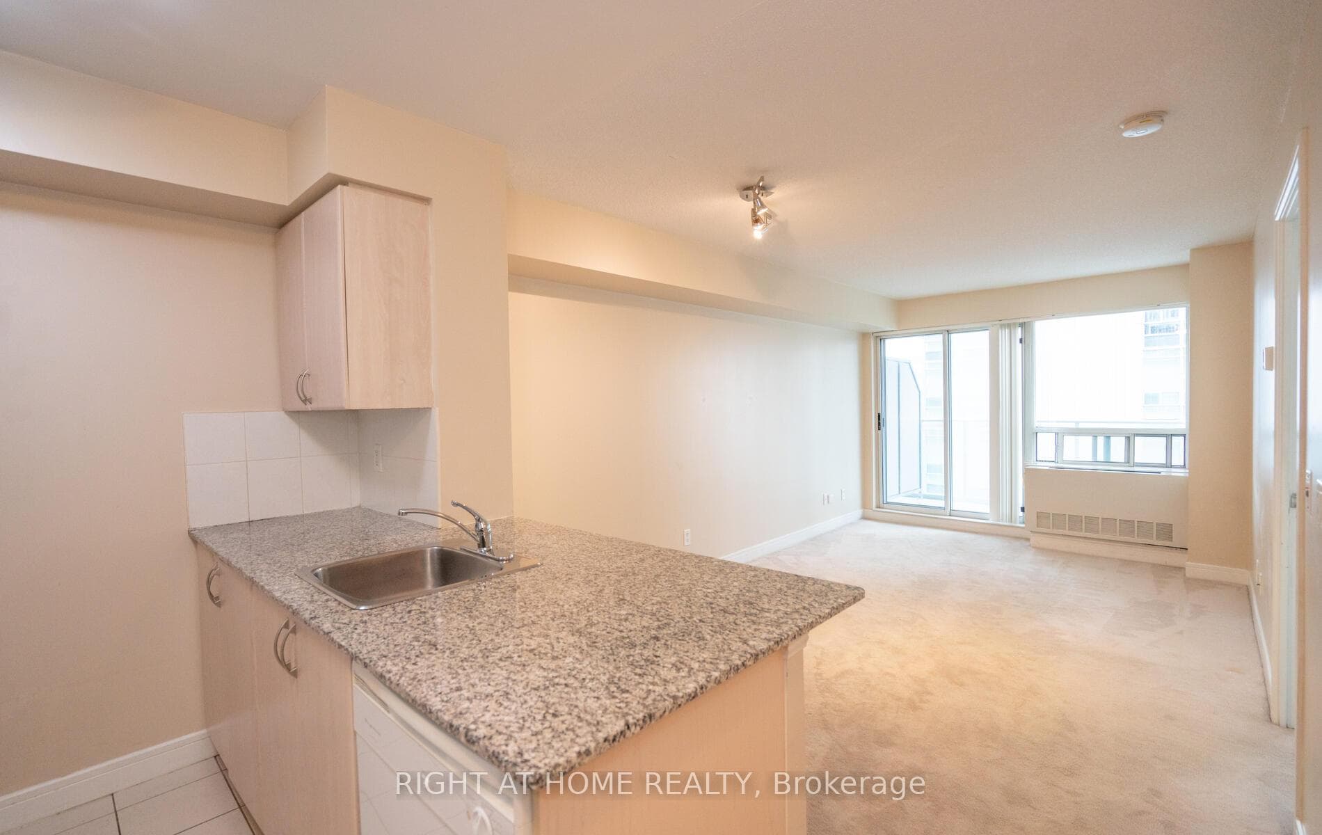 35 Bales Avenue Unit 2203 photo 8