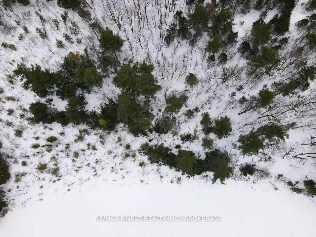 5 Hinterland Lane photo 31