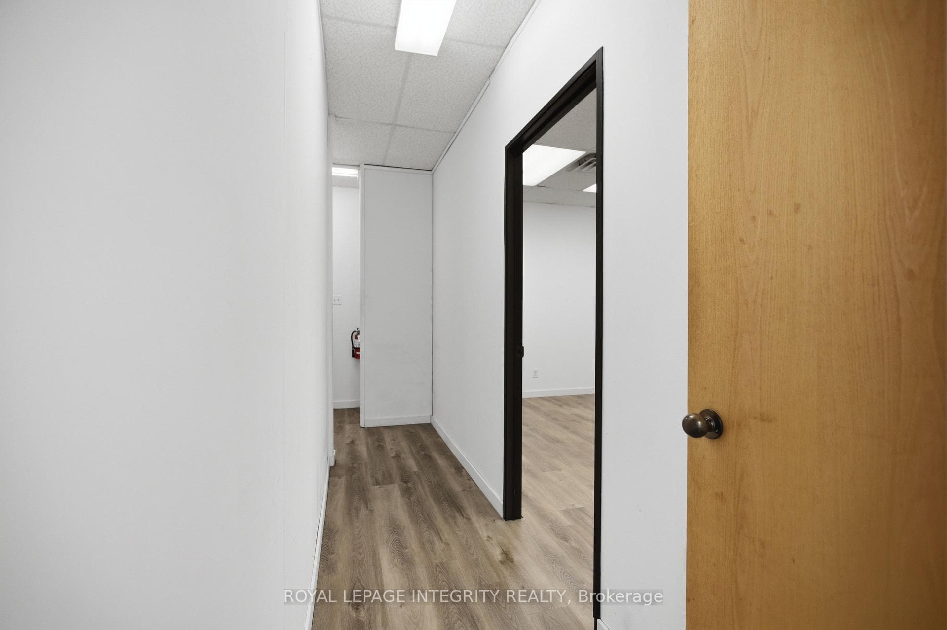 75 Elgin Street Unit 4 photo 8