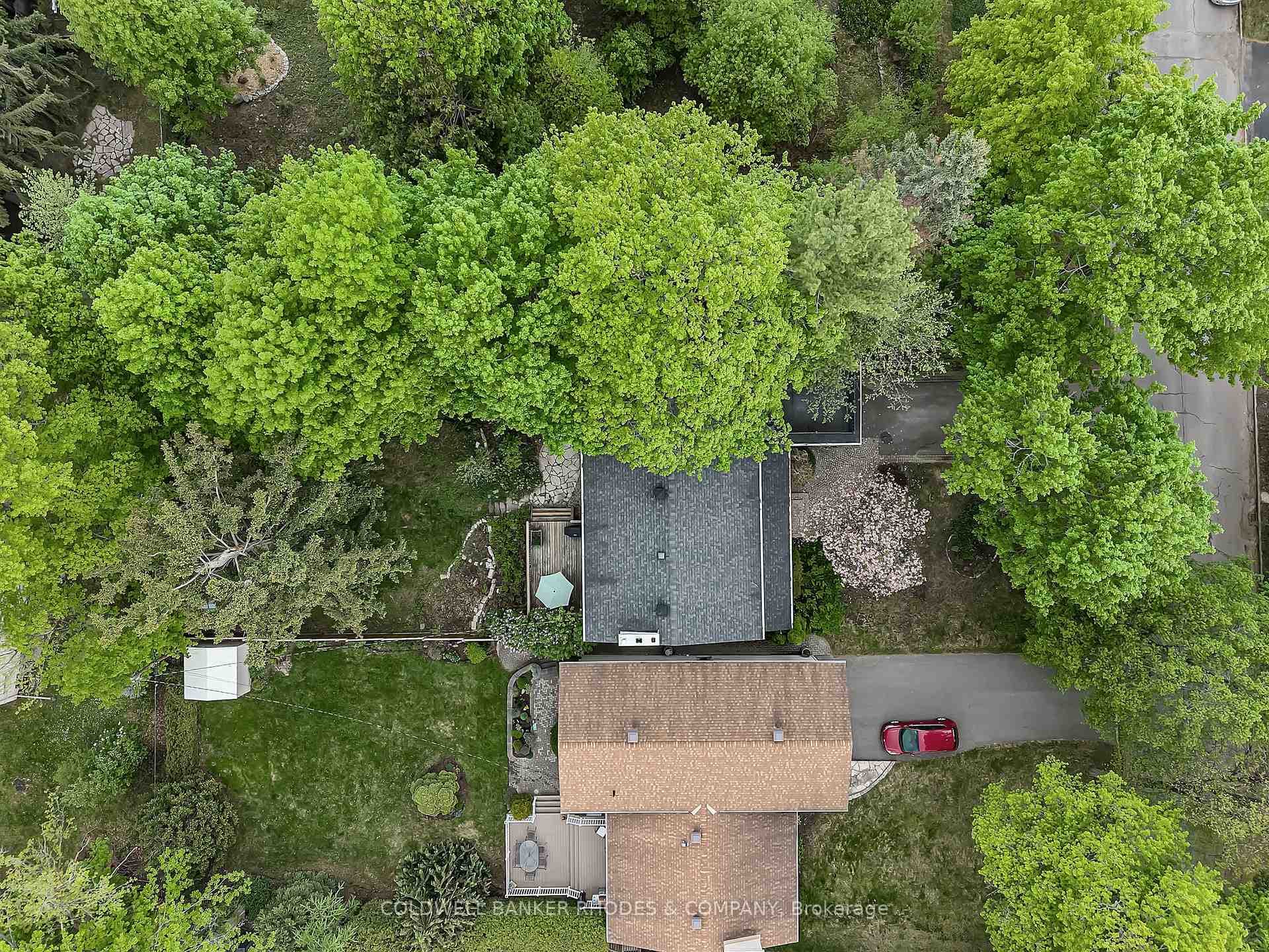 2228 Old Lilac Lane photo 46