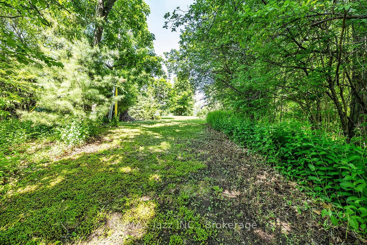 82 Cow Island photo 25