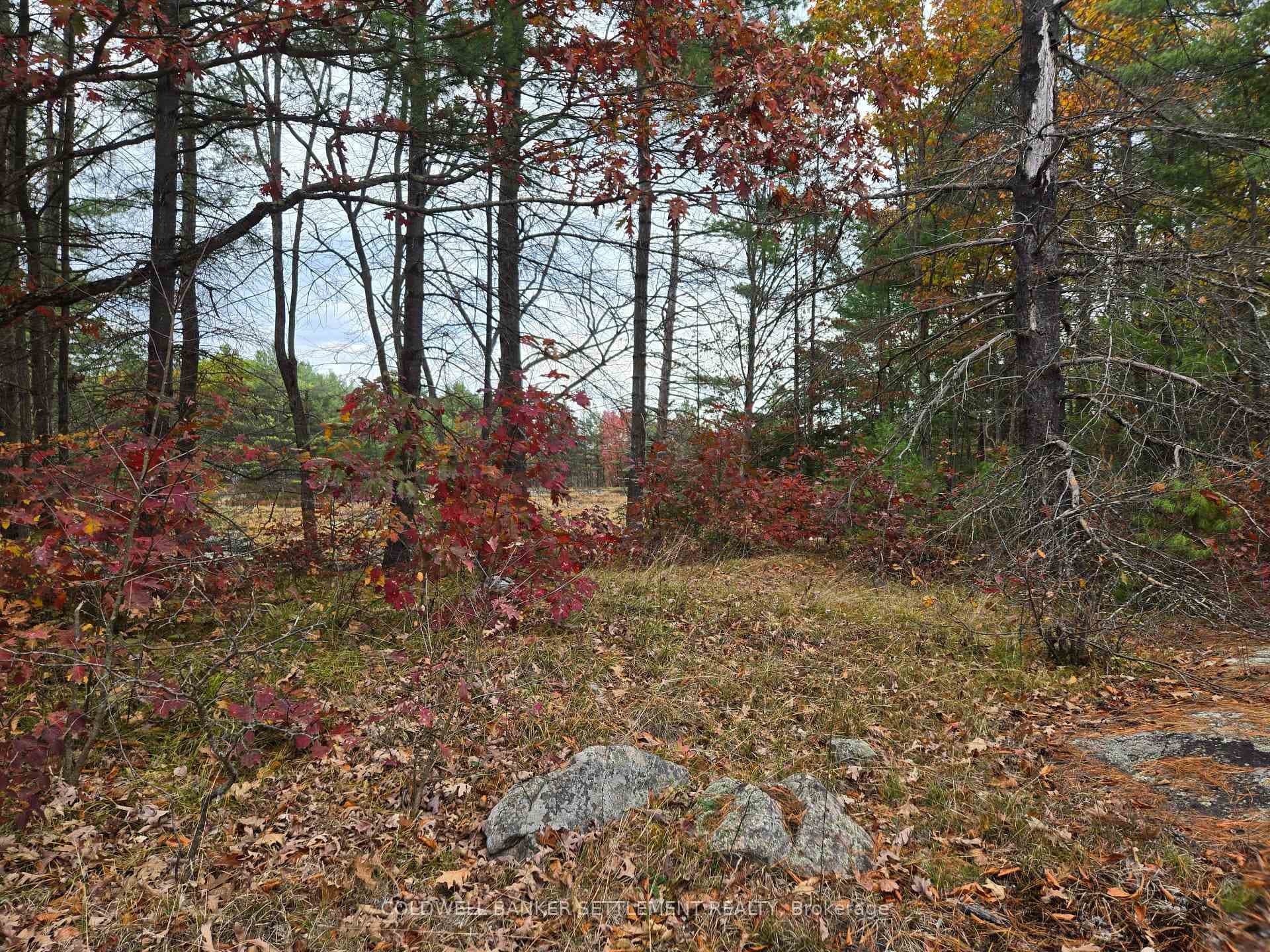 0 Cranberry Lake Road photo 10