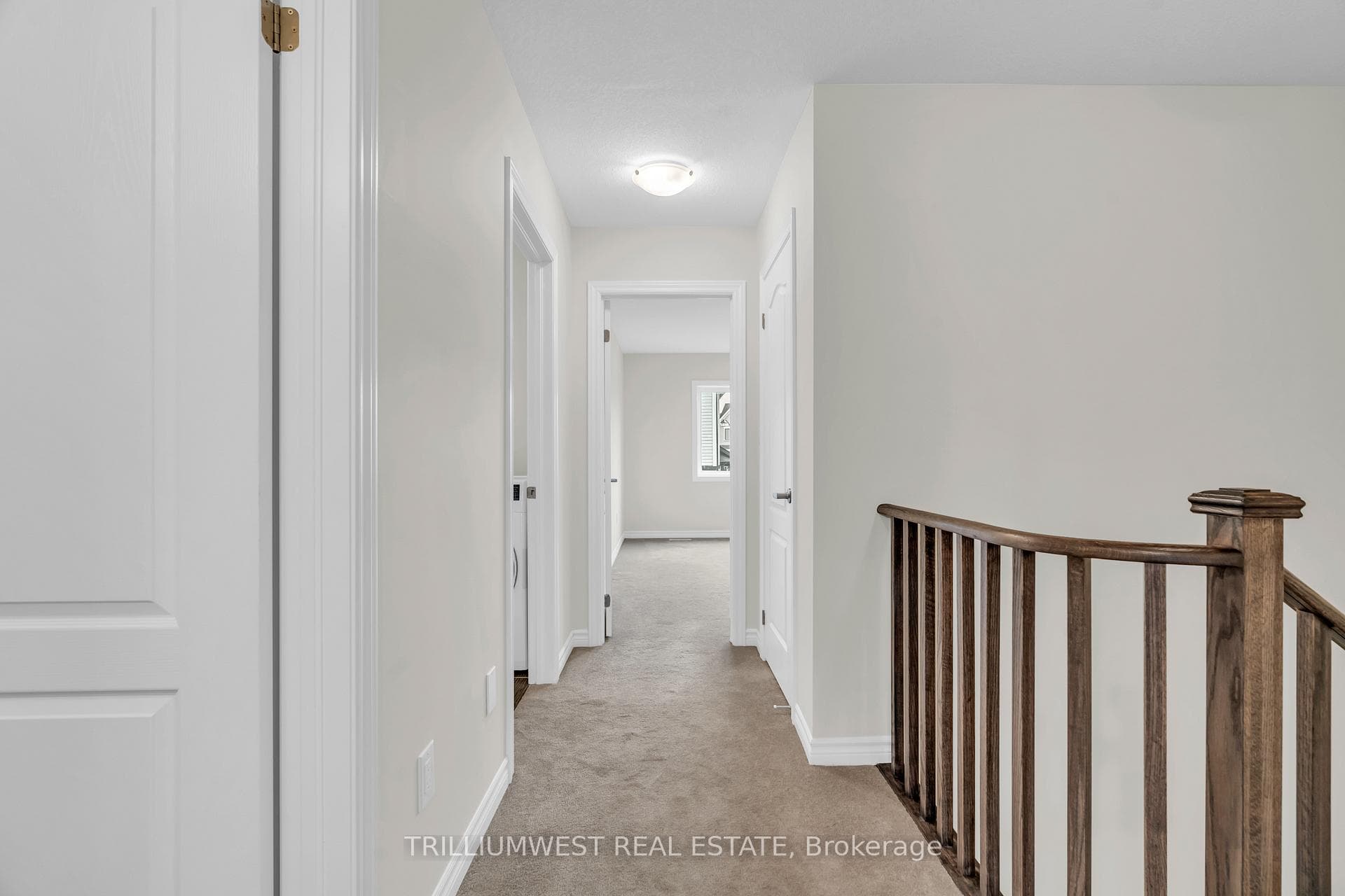 377 Dolman Street photo 23
