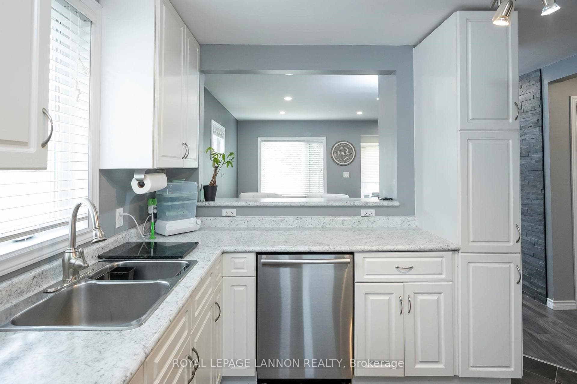 96 Albany Street photo 6
