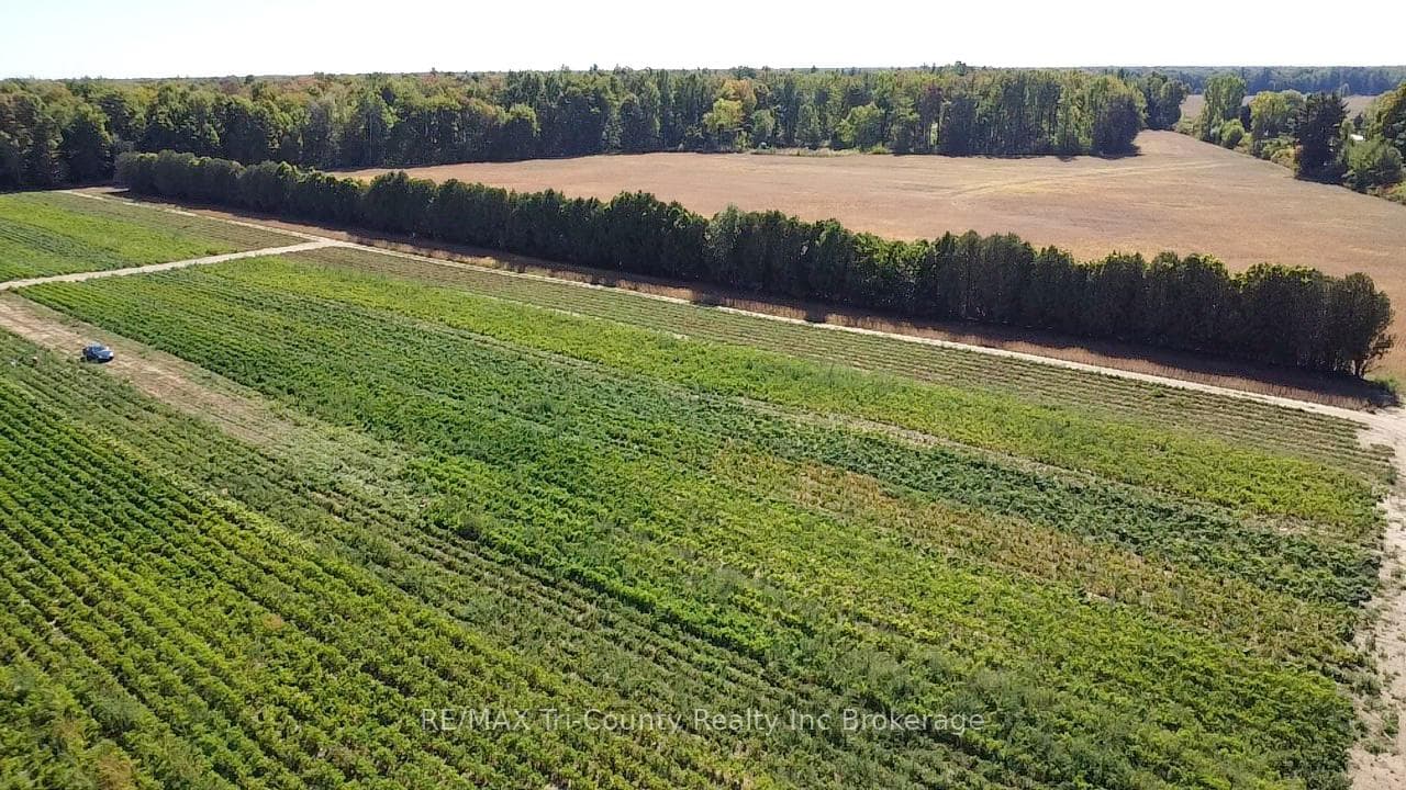 1225 1st Concession ENR Road photo 4