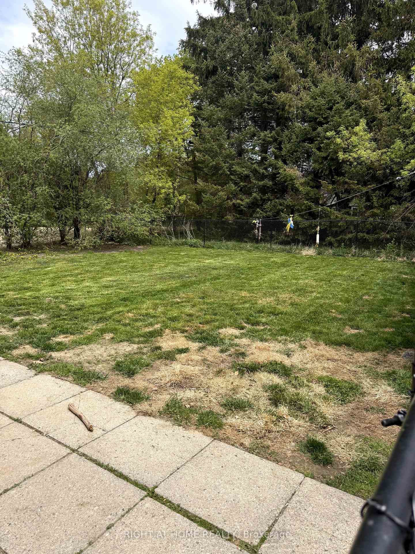 Back yard
