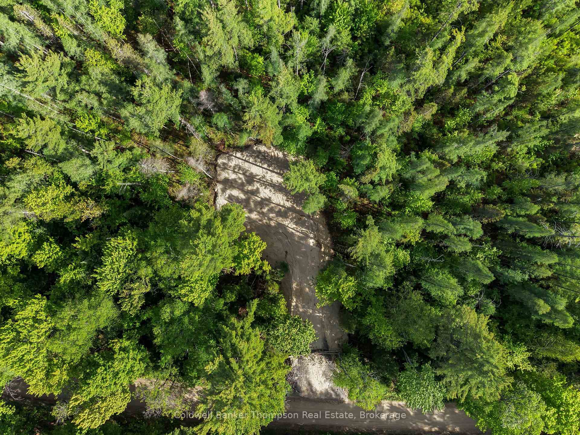 PART 6 AXE LAKE Road photo 4