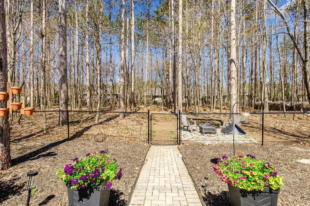 12 Lloyd Cook Drive photo 42