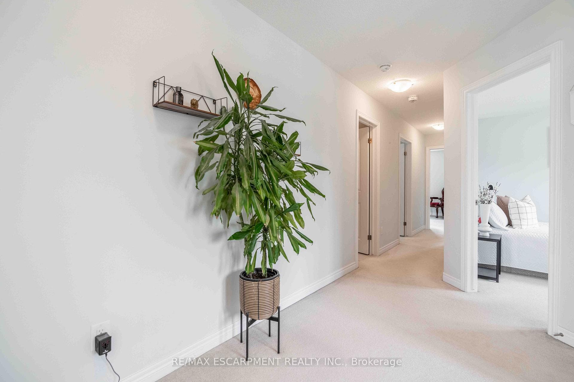 3 NARBONNE Crescent photo 34