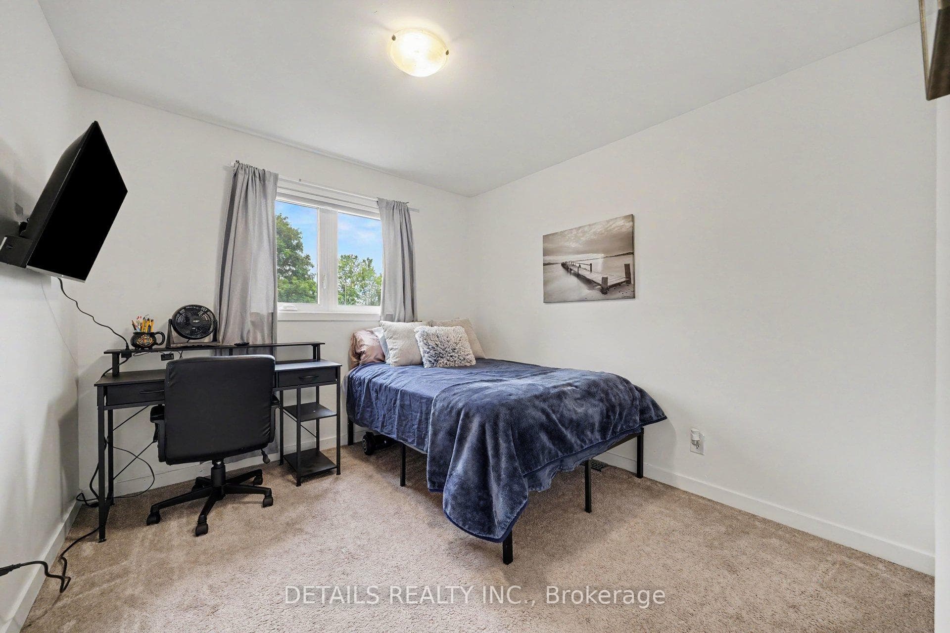 13 Willowview Way photo 10