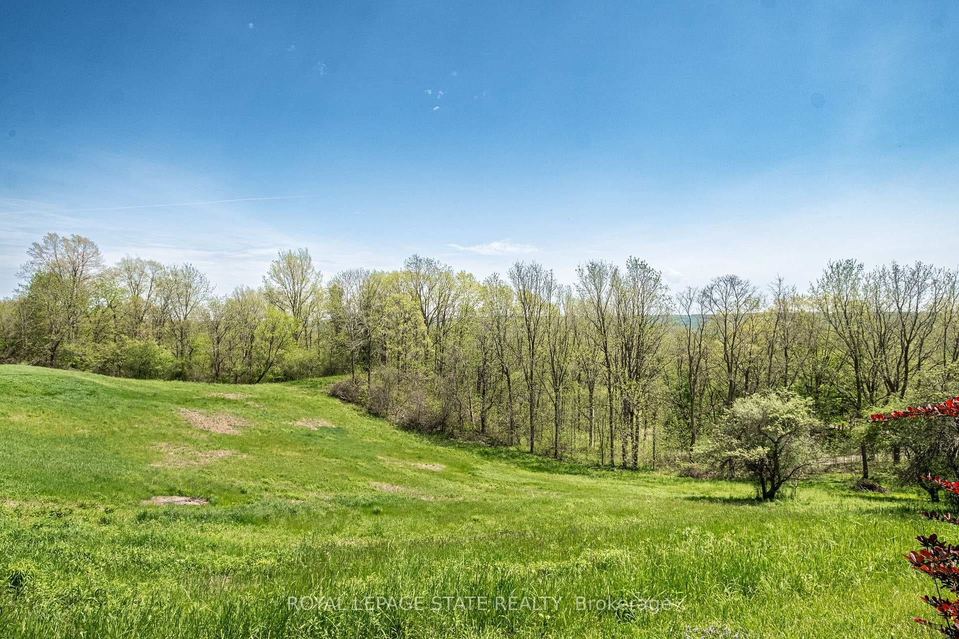 176 Weirs Lane photo 49