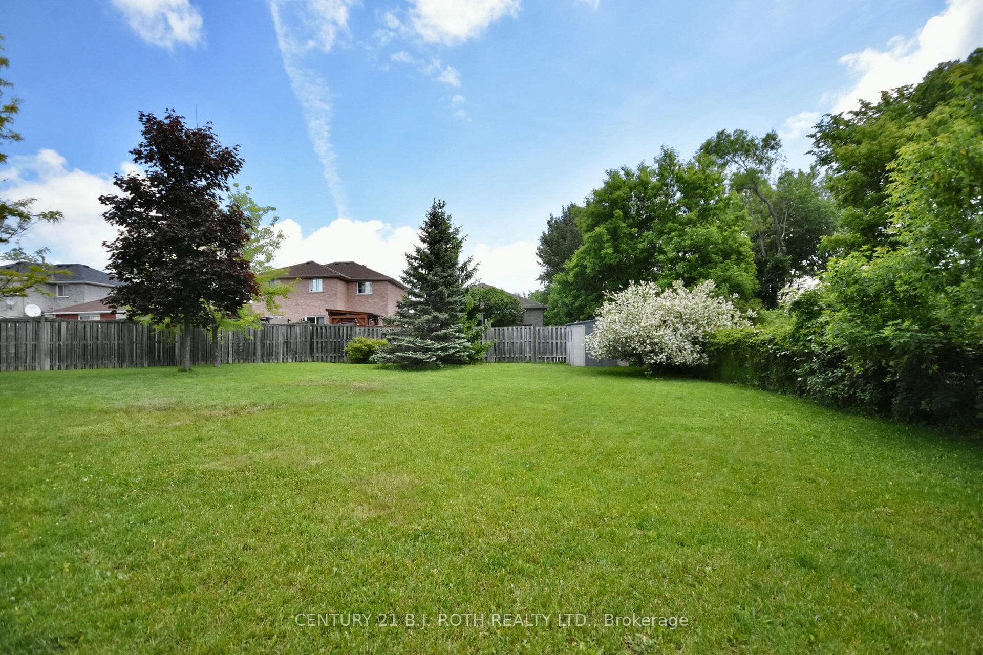 17 Newberry Court photo 39