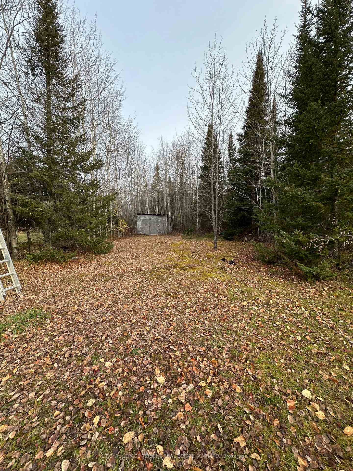 109 Mitchell Road photo 3