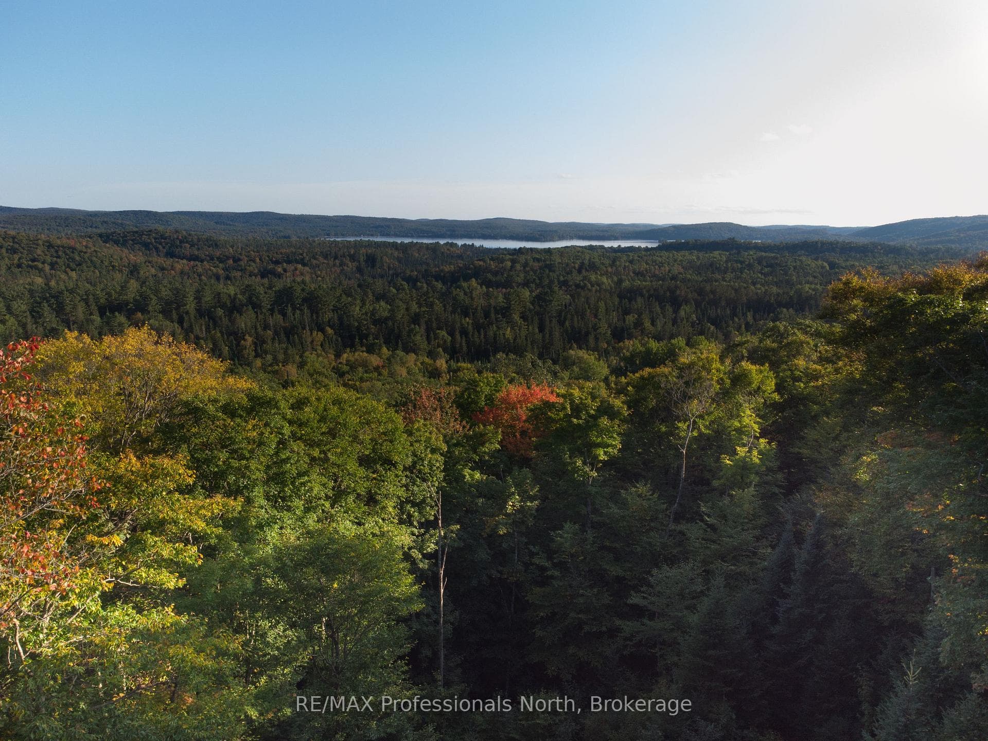364 FORESTRY TOWER Road photo 48