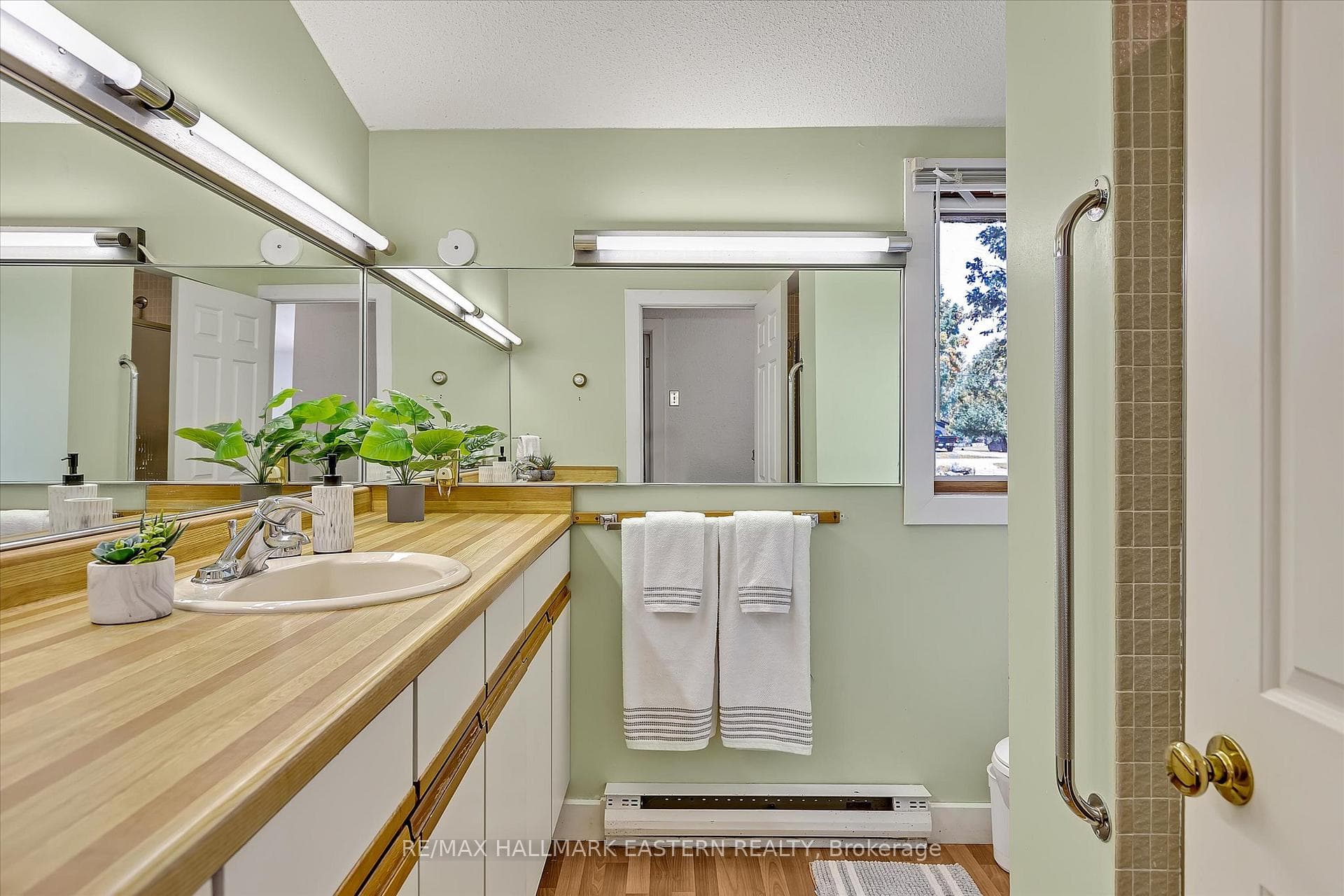 17 Buttercup Lane photo 16