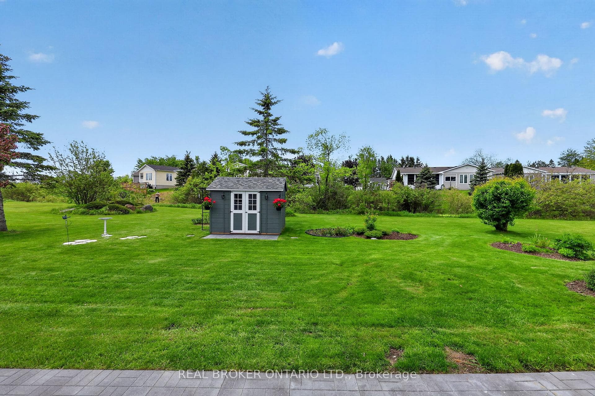 Back Yard and Garden Shed