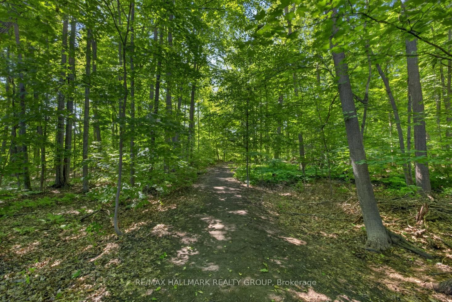 856 Norton Avenue photo 33