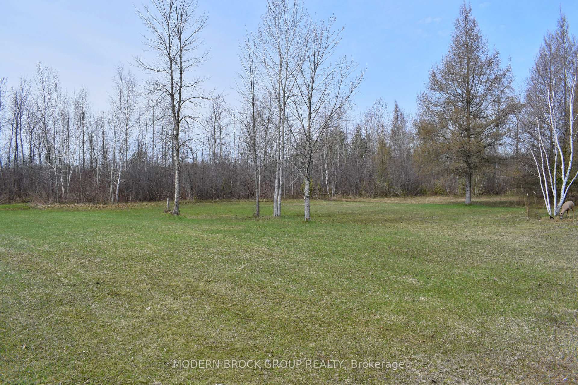 Backyard open space