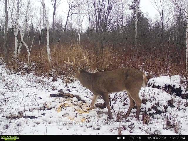 0 LILAC ROAD AT PIGEON LAKE ROAD N/A photo 12