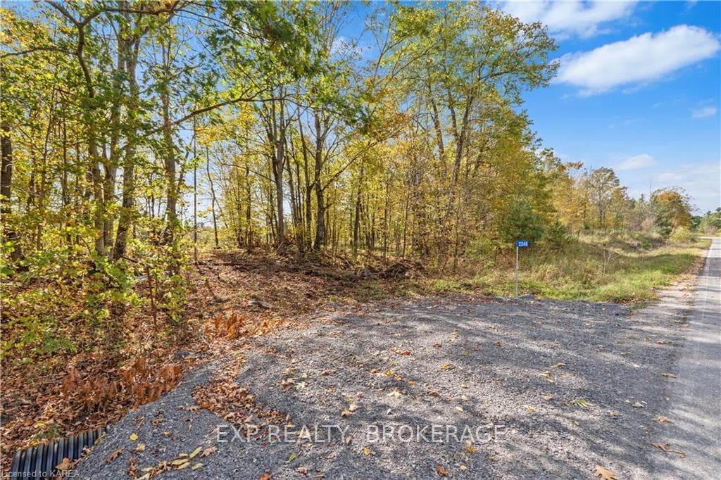 2248 FIFTH LAKE Road photo 20