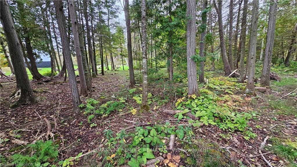 10 MURRAY Avenue photo 13