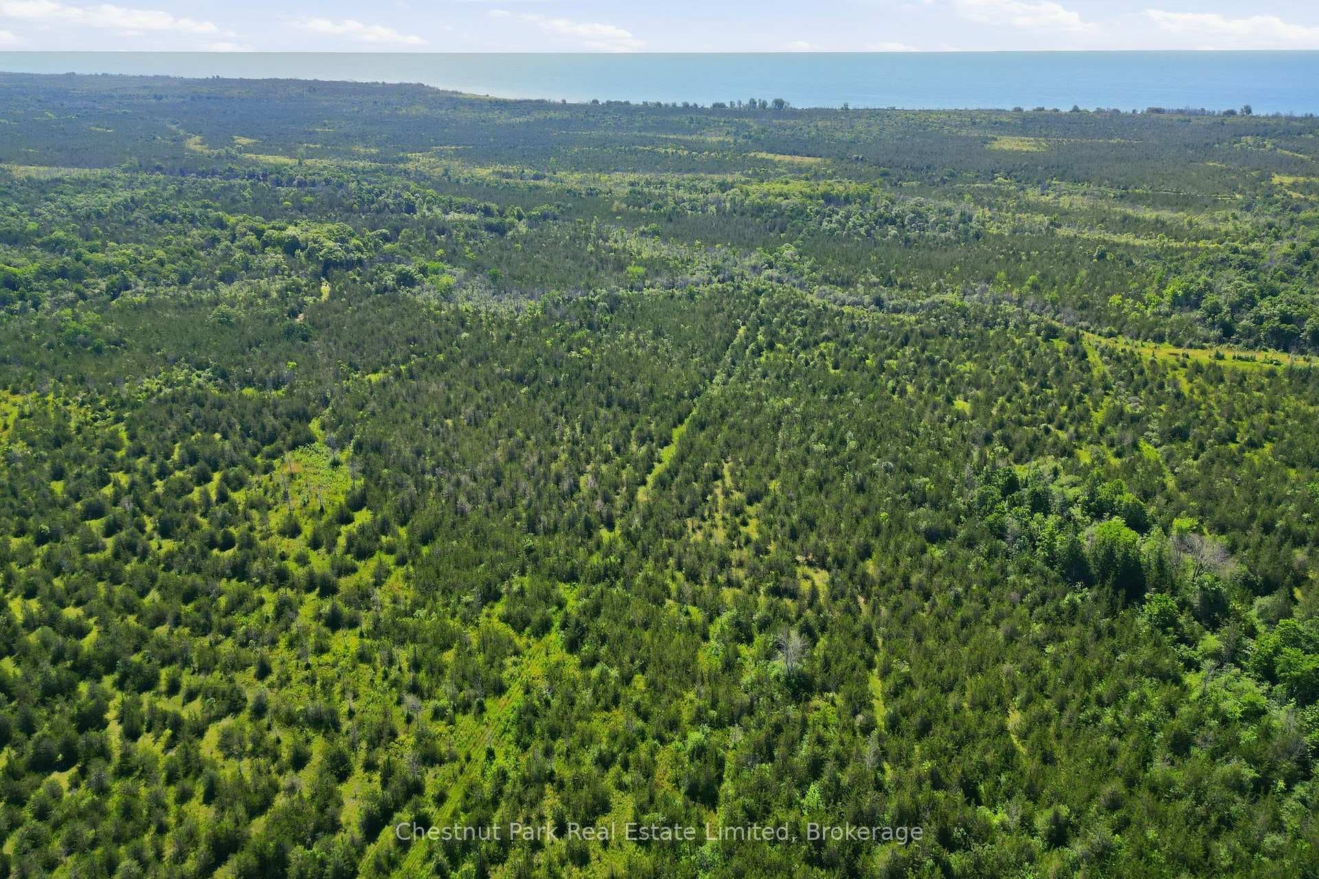 647 Helmer Road photo 15