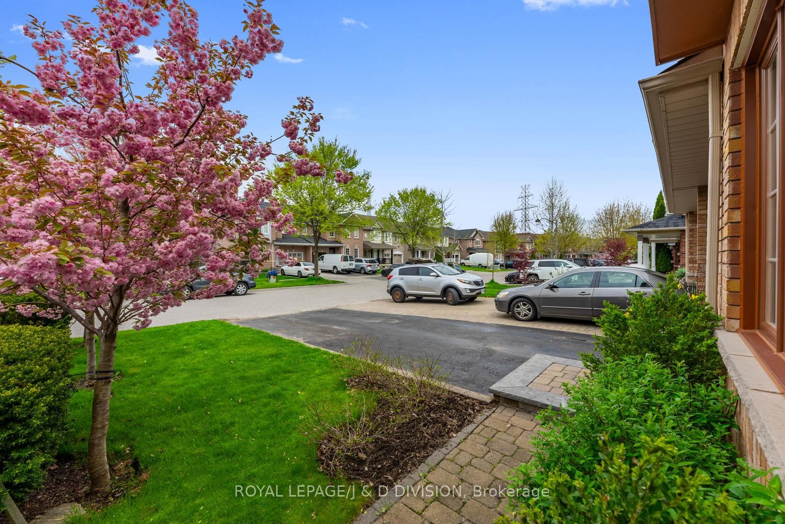Front Yard / Driveway